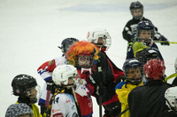 Halloween na ledě ročník 2014 2