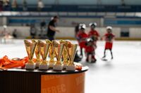 Turnaj ročníku 2016 v hokejbale - 11.5.2024 1
