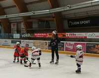 6.12.2025 - Turnaj v mikrohokeji v Jičíně roč.2020