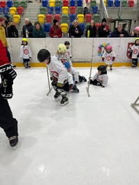 Pojď hrát hokej 24.1.2026 6