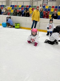 Pojď hrát hokej 24.1.2026 10