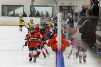 15.3.2026 rocnik 2016 - Turnov vs. Roudnice 6