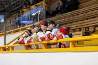 ROcnik 2016 v Pelhrimove 1