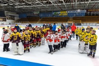 ROcnik 2016 v Pelhrimove 3